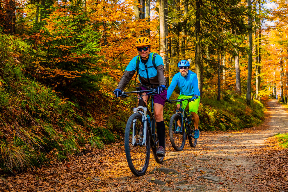 Activities & Local Operators